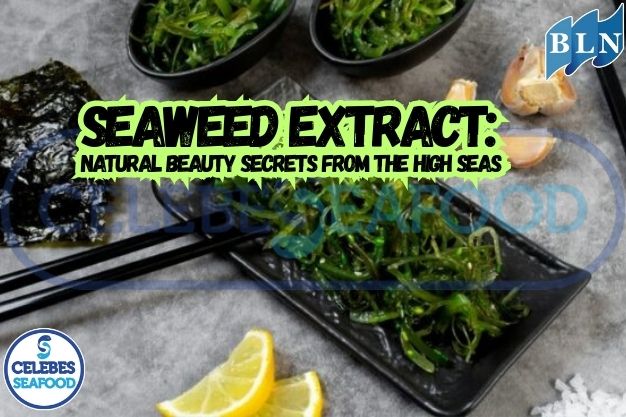 Seaweed Extract: Natural Beauty Secrets from the High Seas